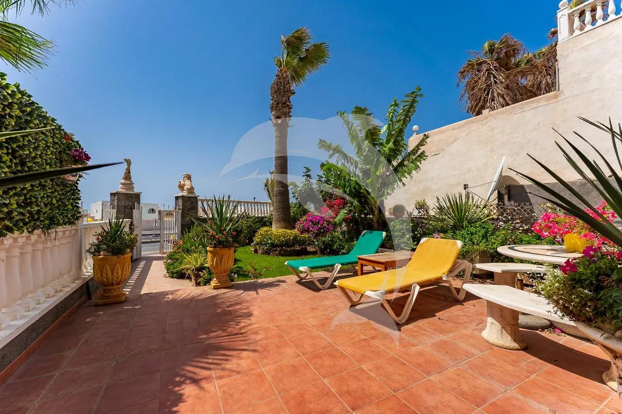 Apartamentos Los Delfines El Medano  Apartment