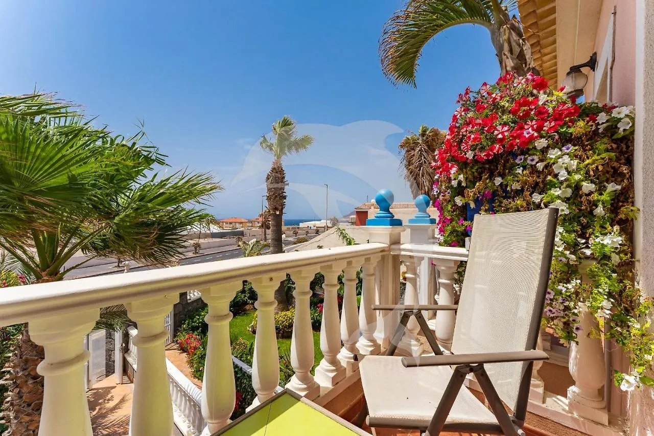 Apartment Apartamentos Los Delfines El Medano  Spain