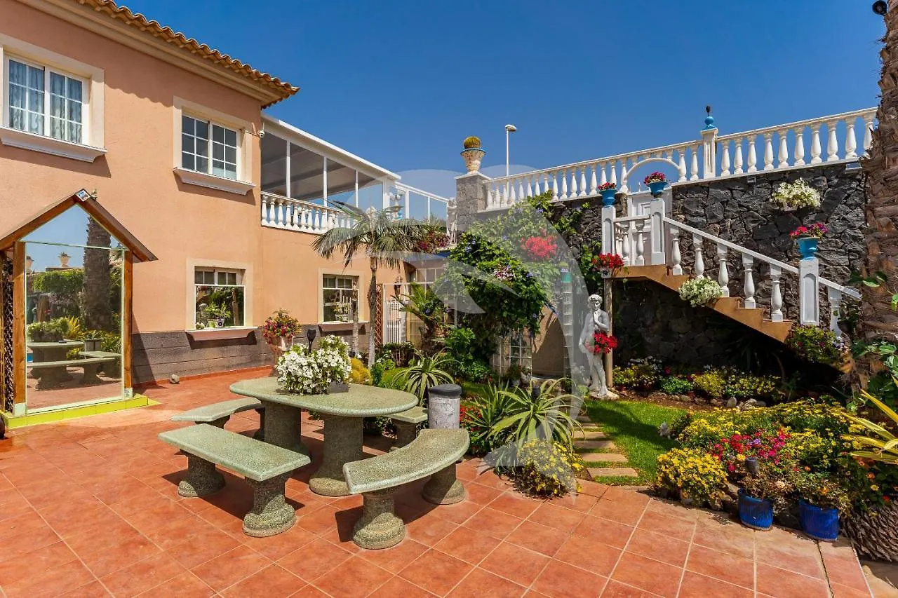Apartamentos Los Delfines El Medano  Apartment